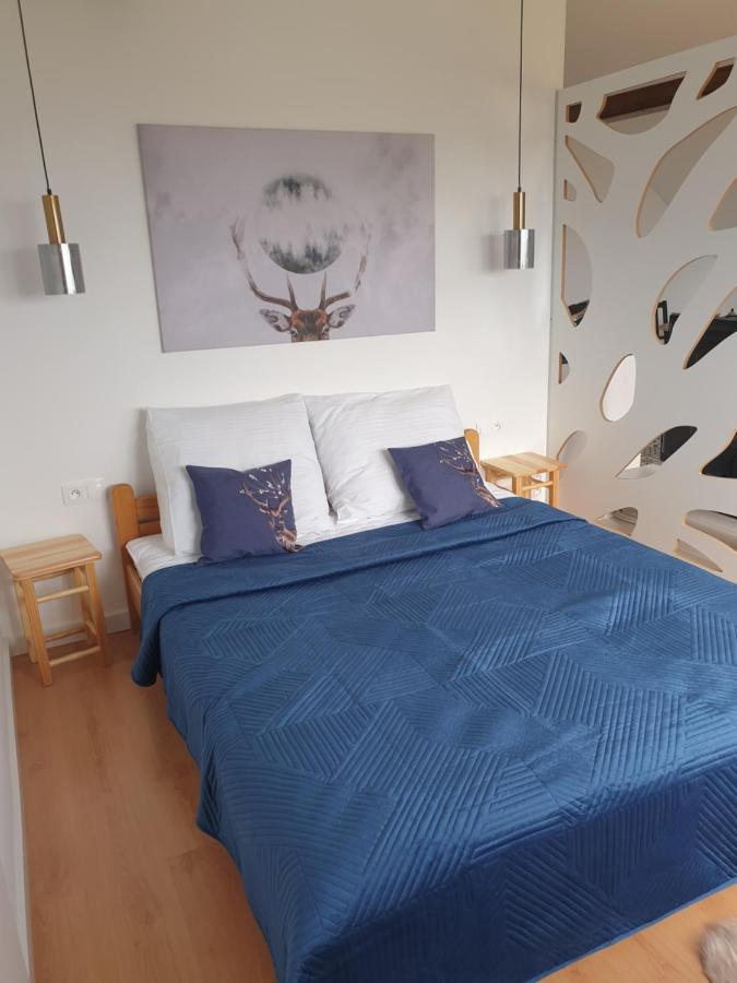 Jezow Sudecki Apartament Panorama מראה חיצוני תמונה