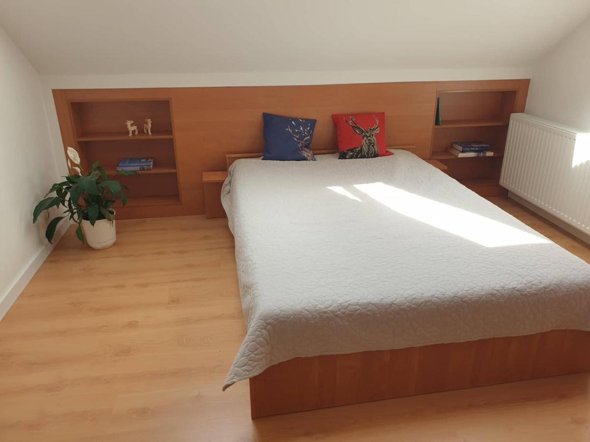 Jezow Sudecki Apartament Panorama מראה חיצוני תמונה